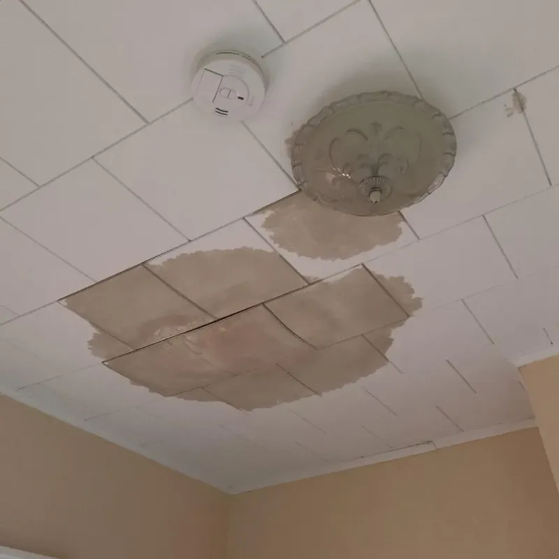 Ceiling Water Damage Repair in Crawford County, KS